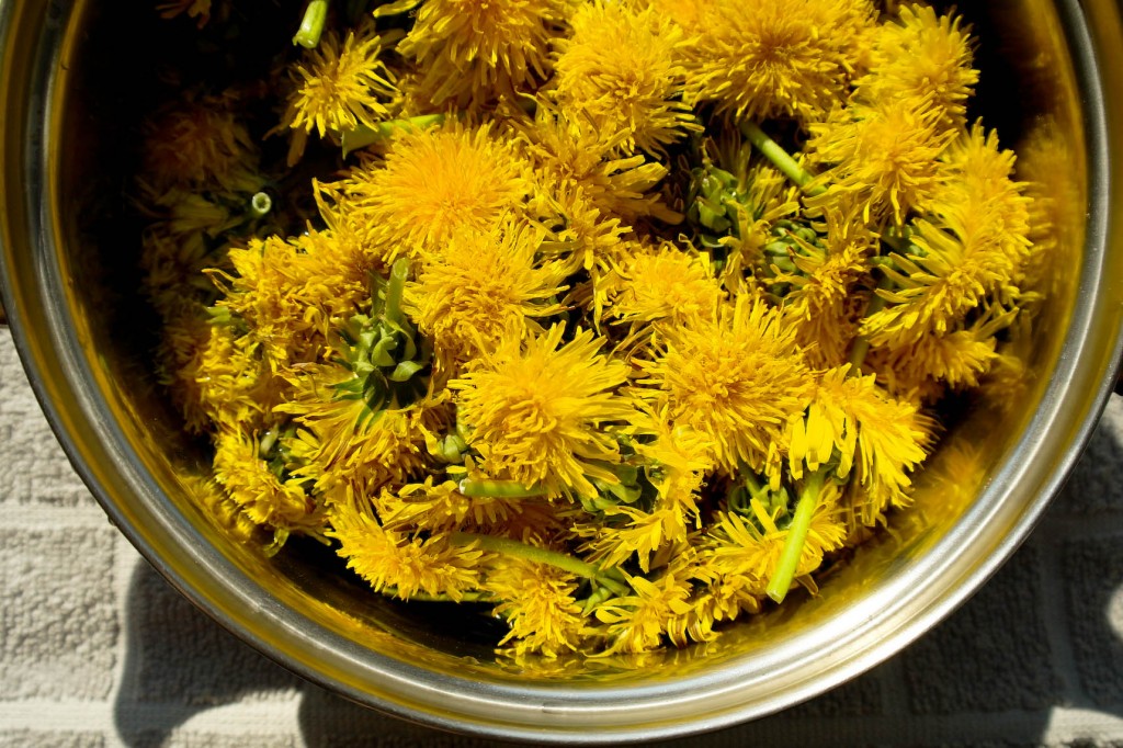 syrop