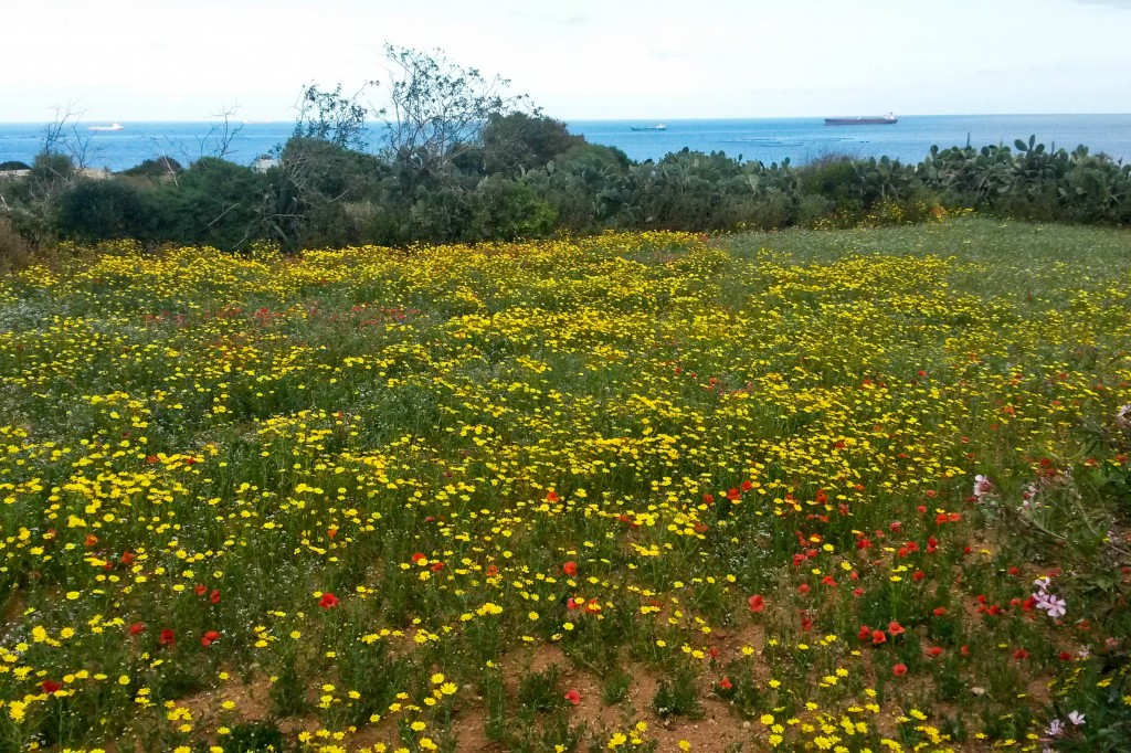 20140505_170444