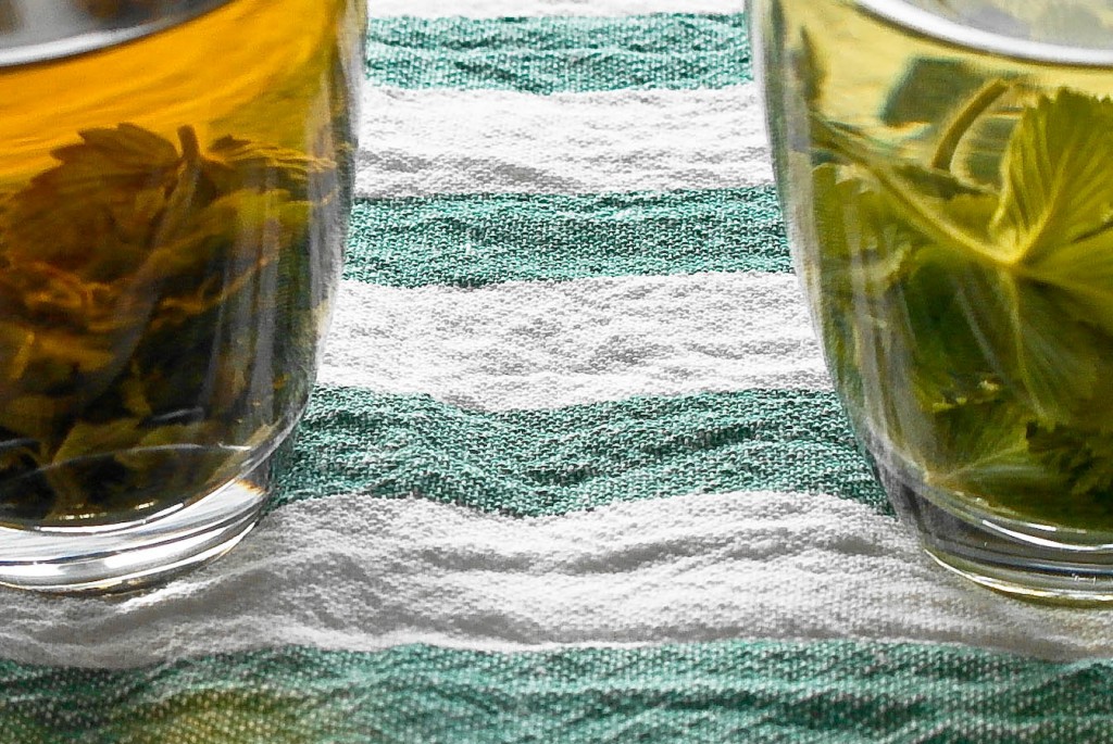 Z lewej strony herbata poziomkowa fermentowana, z lewej niefermentowana