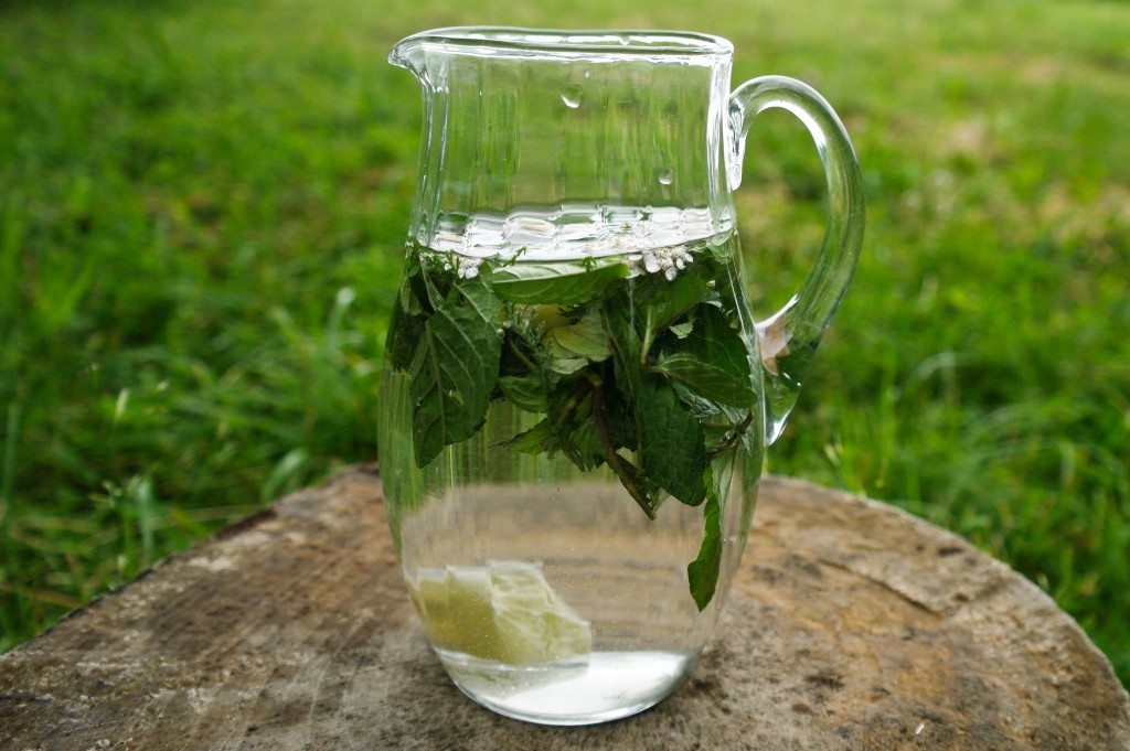 Ziołowa lemoniada