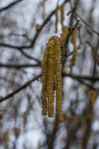 DSC_0716
