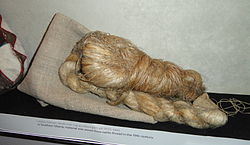 250px-Nettle_thread,_Southern_Siberia,_19th_century_-_Museum_of_Cultures_(Helsinki)_-_DSC04760