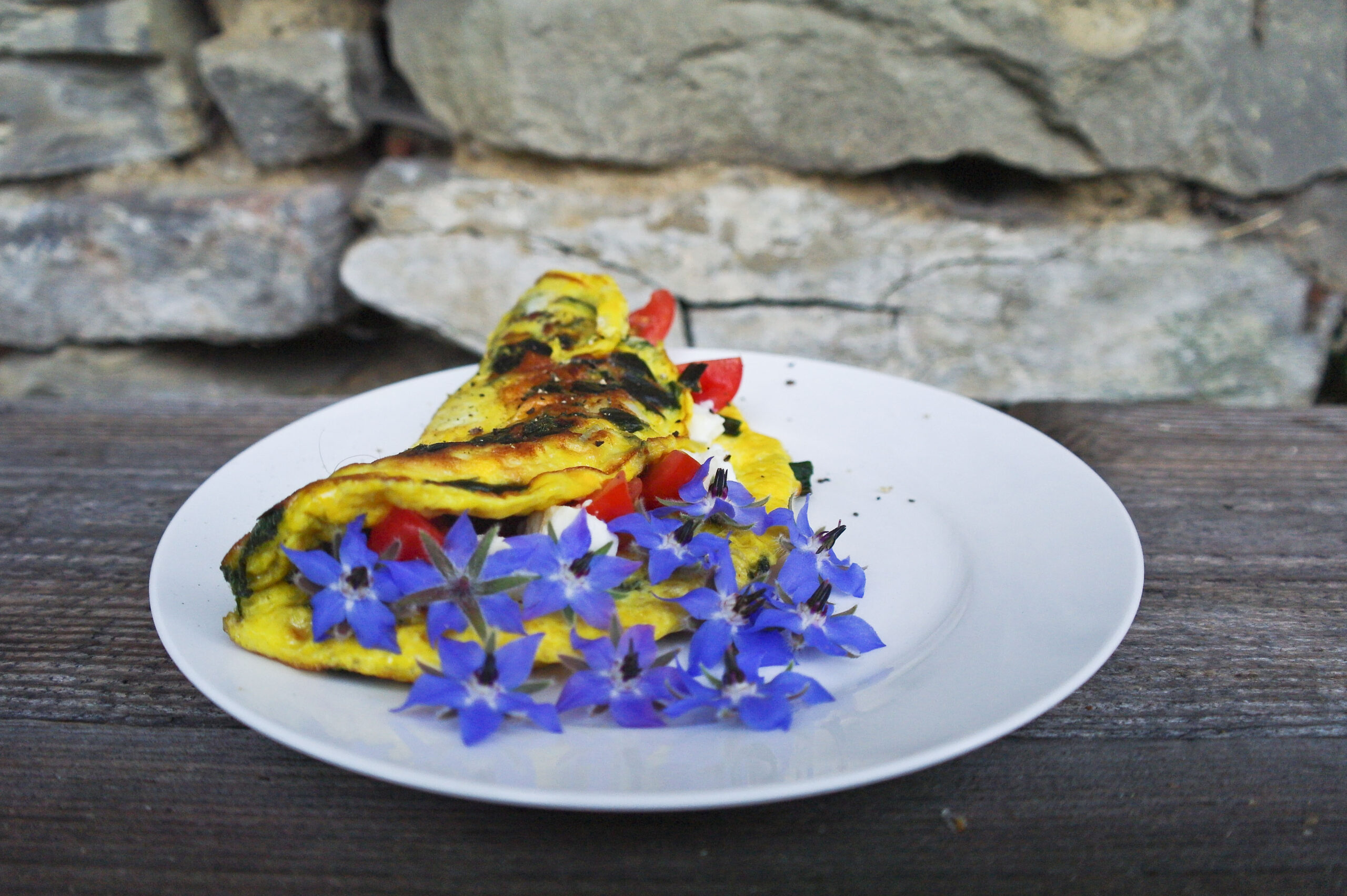 ogórecznik fritata