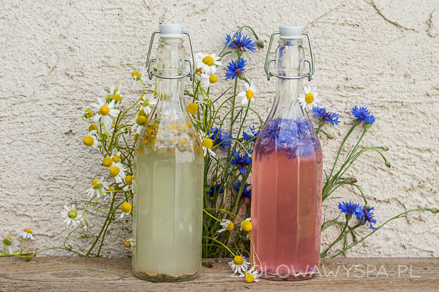 lemoniada z chabrów