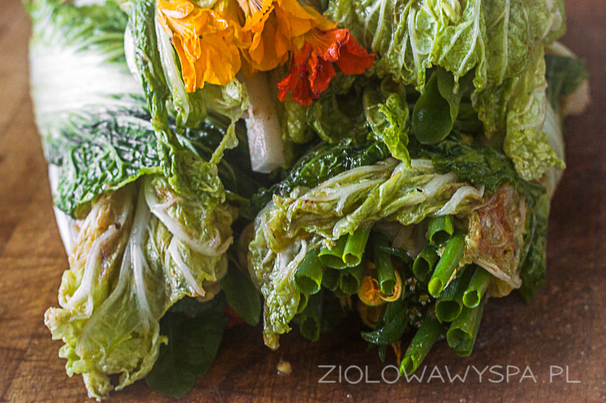kimchi z ziołami