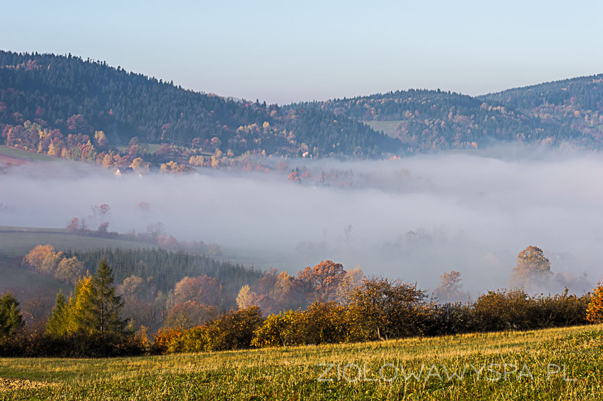 beskid wyspowy