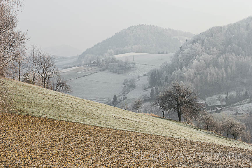 beskid wyspowy