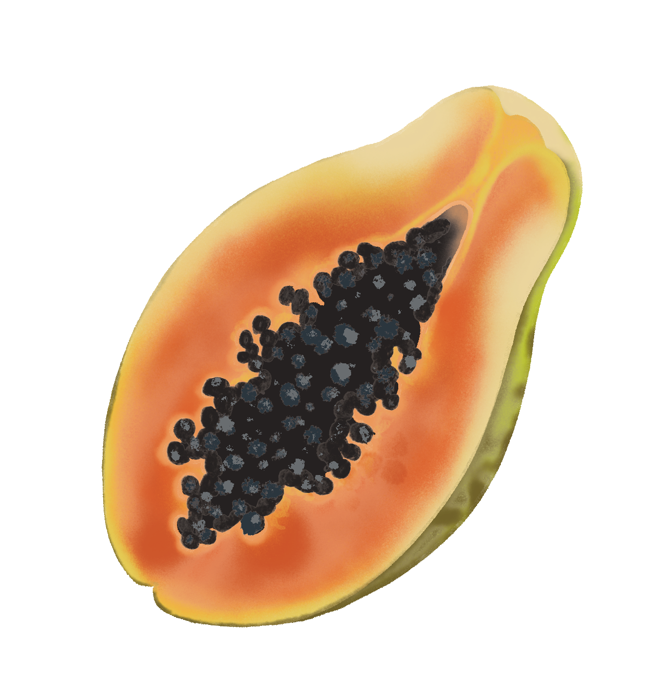 papaya-cala.png
